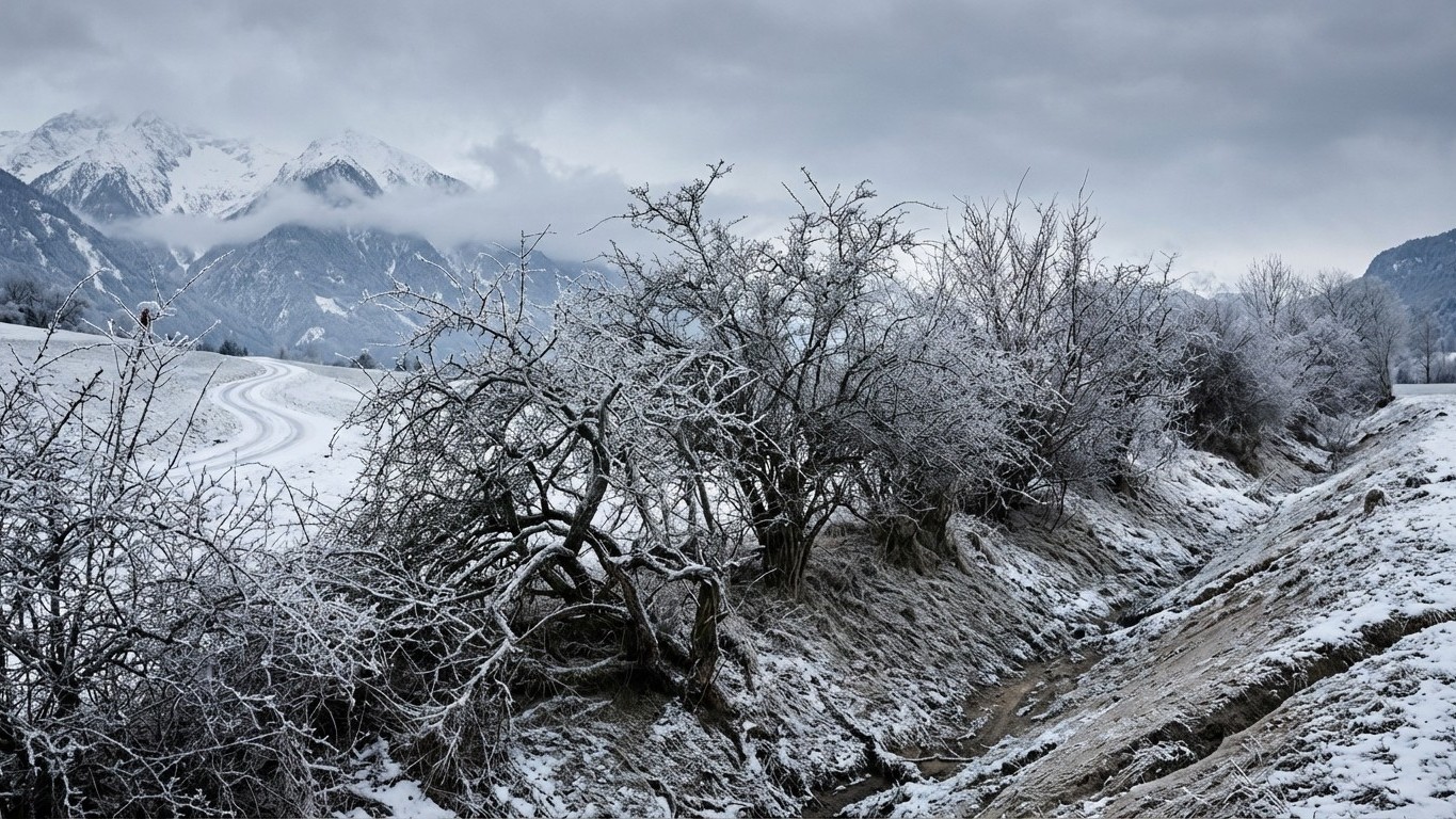 Haie champêtre en climat froid : espèces rustiques
