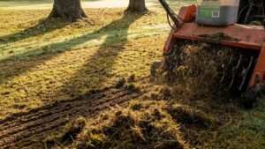 Pelouse automne scarification : le guide complet pour une pelouse dense au printemps