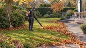 Ramasser les feuilles mortes : faut-il le faire et comment aller vite