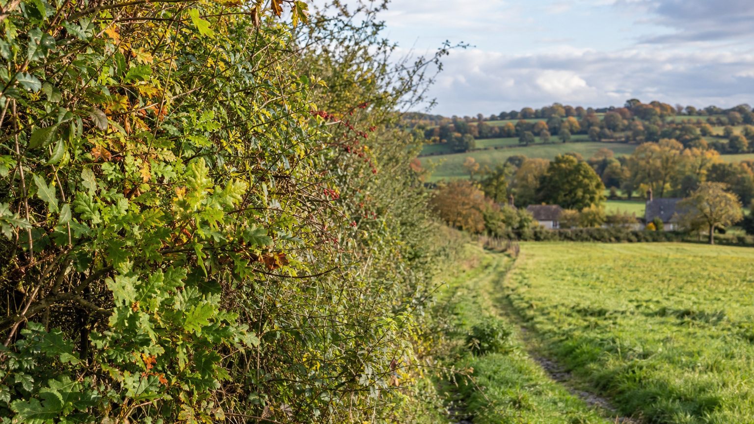 Taille des haies en Normandie : dates et arrêté préfectoral 2026